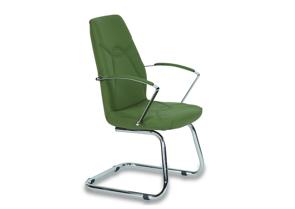 ASIL GUEST CHAIR