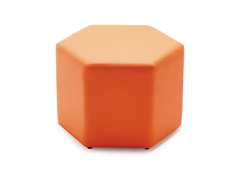 ALTIGEN PUF - Görsel 4