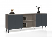 ANTONIN CABINET