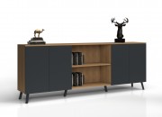 ANTONIN CABINET