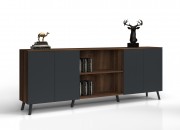 ANTONIN CABINET