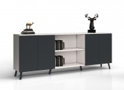 ANTONIN CABINET