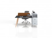 ANTONIN DOUBLE STUDY DESK