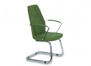 ASIL GUEST CHAIR