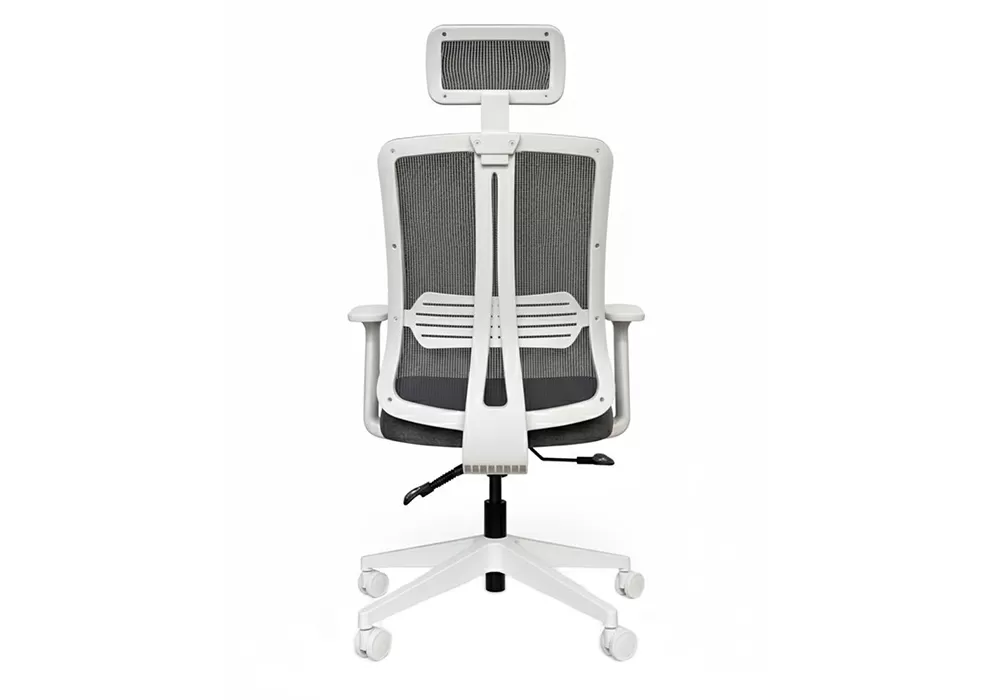 BELİS LÜKS MAKAM KOLTUĞU - Görsel 4