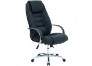 BIOTA EXECUTIVE CHAIR