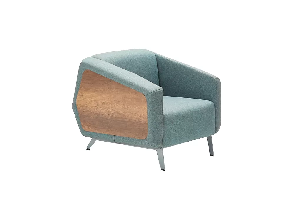 BRV TEKLİ KANEPE - Görsel 1