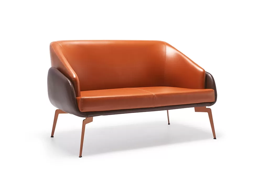 BTTY İKİLİ KANEPE - Görsel 1