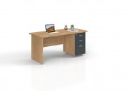 ECORAY STUDY DESK