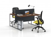 FEBRONI DOUBLE STUDY DESK