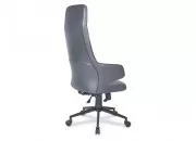 FELİX MAKAM KOLTUĞU - Görsel 2