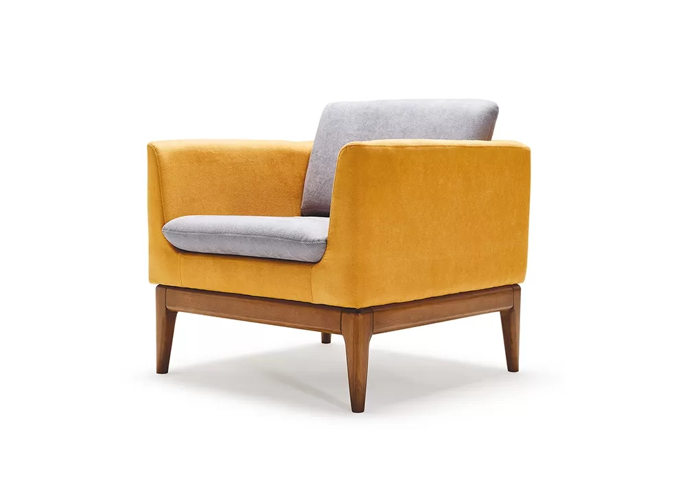 FNMN TEKLİ KANEPE - Görsel 1