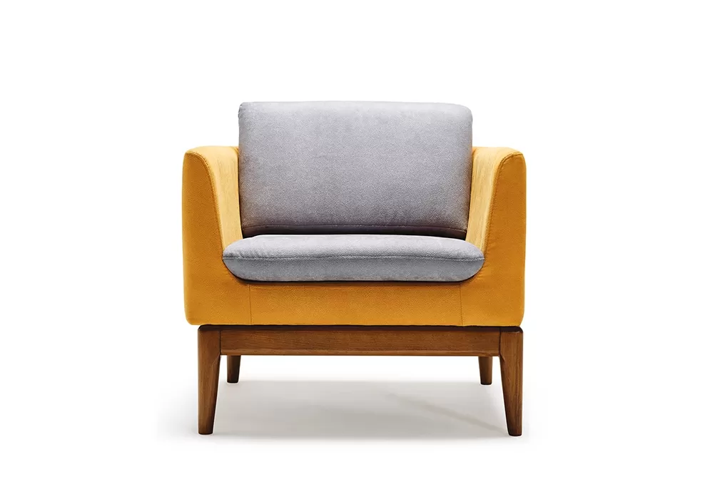 FNMN TEKLİ KANEPE - Görsel 3