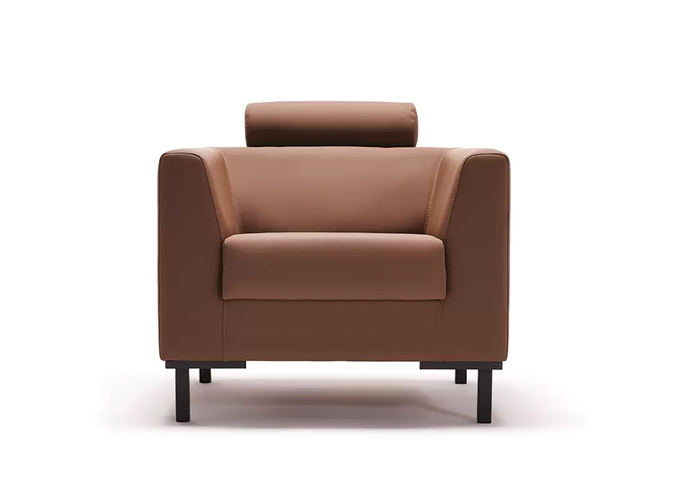 GOLD TEKLİ KANEPE - Görsel 2