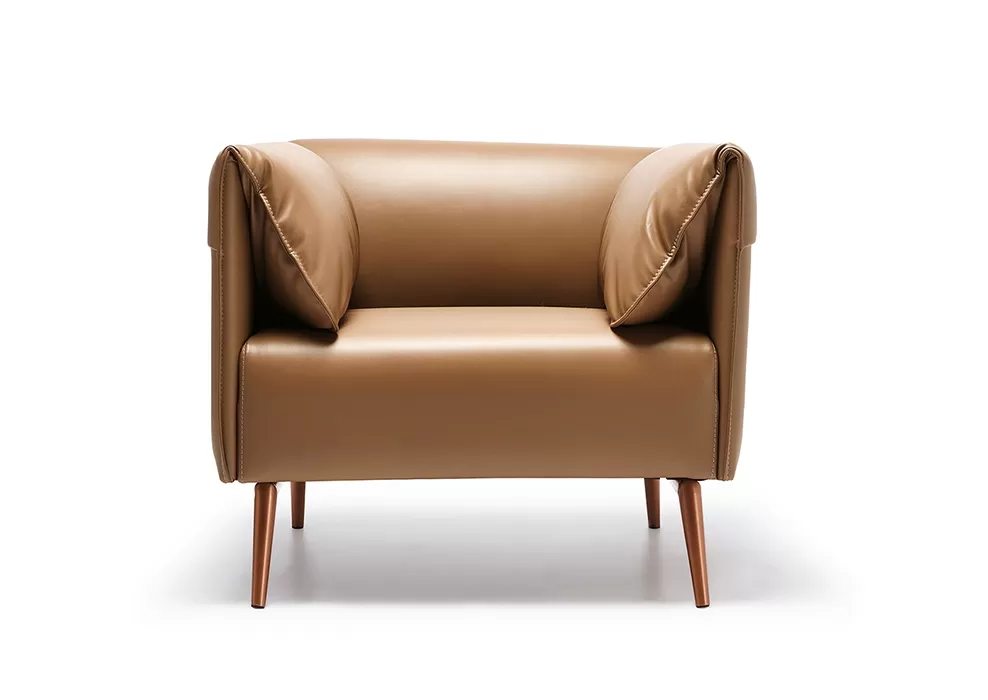 LİVA TEKLİ KANEPE - Görsel 2