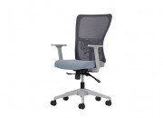 LUMBAR ÇALIŞMA KOLTUĞU