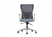 LUMBAR ÇALIŞMA KOLTUĞU