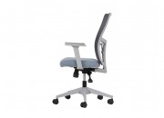 LUMBAR ÇALIŞMA KOLTUĞU