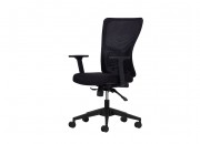 LUMBAR ÇALIŞMA KOLTUĞU