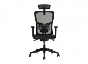 LUMBAR EXECUTIVE CHAIR