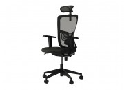 LUMBAR EXECUTIVE CHAIR