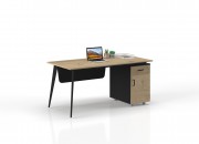 MİLAS STUDY DESK WITH CASESON