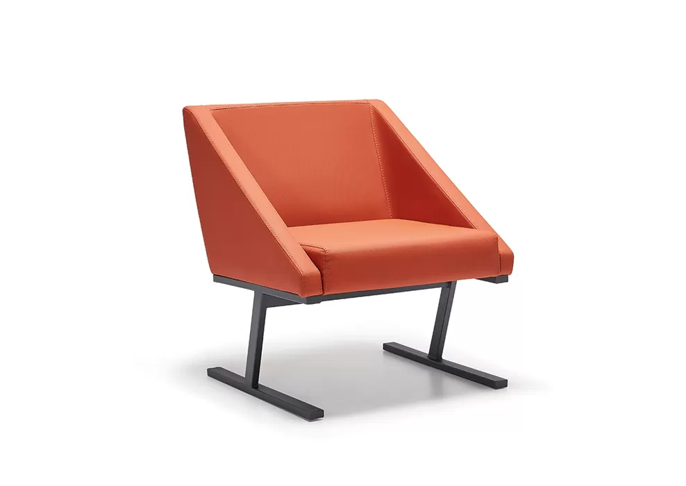 OX TEKLİ KANEPE - Görsel 1