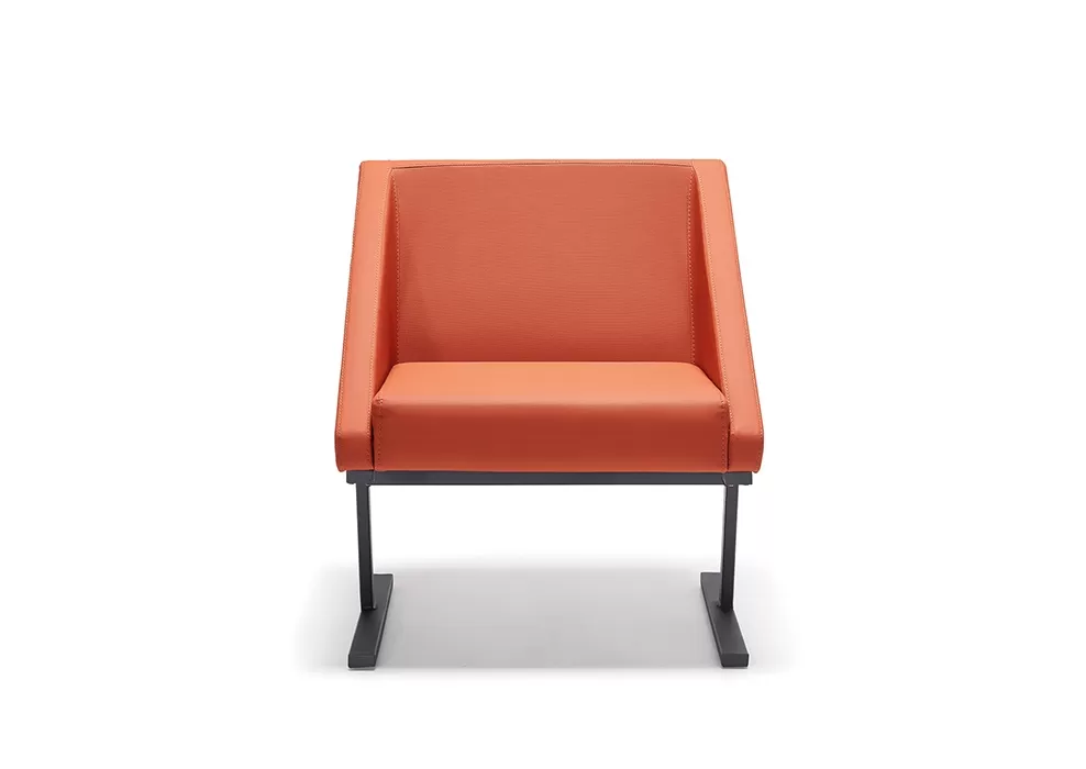 OX TEKLİ KANEPE - Görsel 2