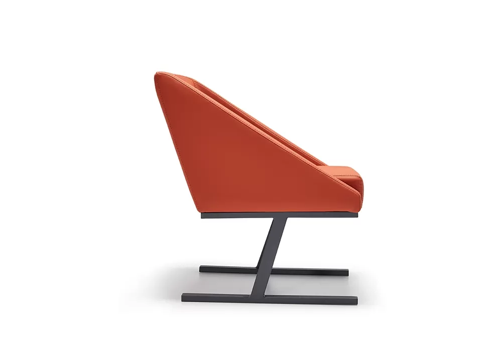 OX TEKLİ KANEPE - Görsel 3