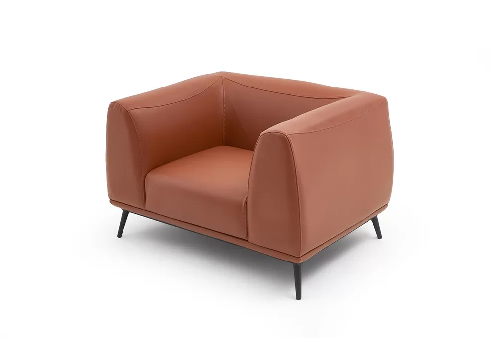 SFY TEKLİ KANEPE - Görsel 3