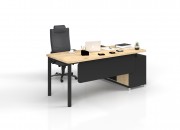 TANYA STUDY DESK