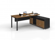 TANYA STUDY DESK