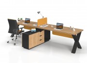 TOSCA HORIZONTAL DOUBLE STUDY DESK