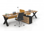 TOSCA HORIZONTAL DOUBLE STUDY DESK