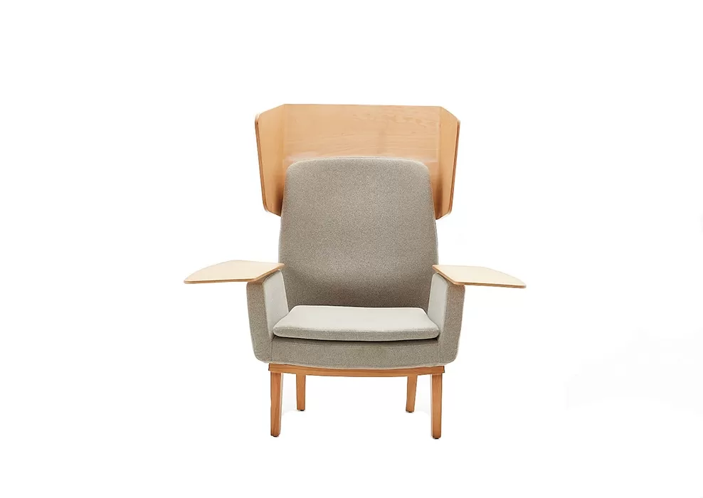 TRN TEKLİ KANEPE - Görsel 1