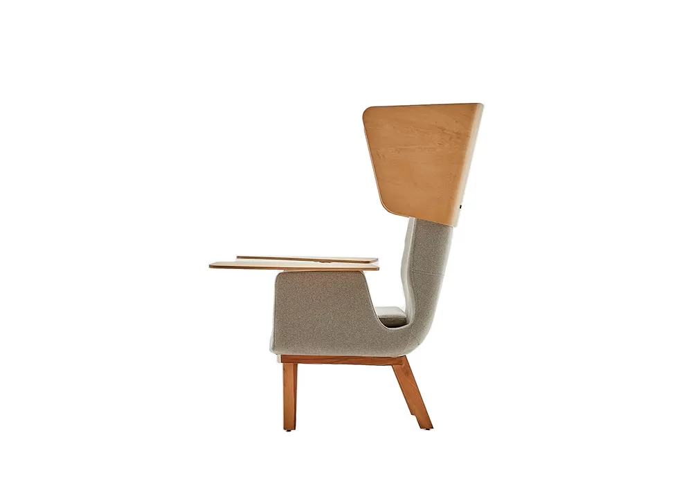 TRN TEKLİ KANEPE - Görsel 3