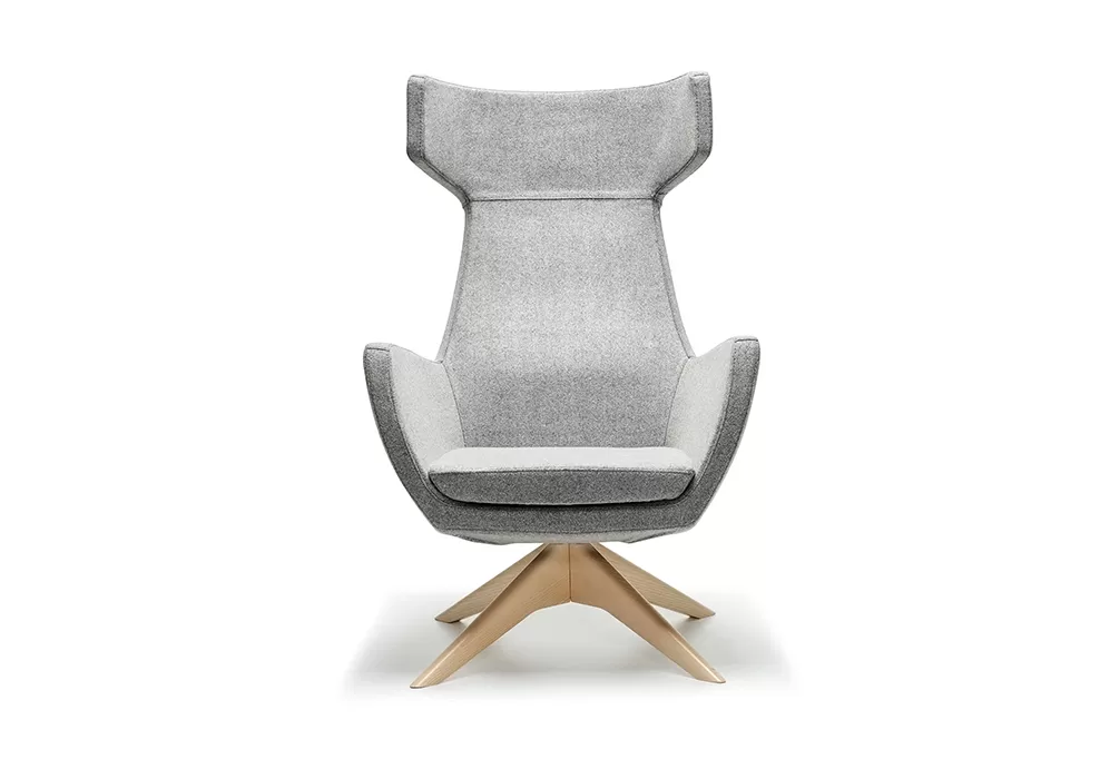 TSL AHŞAP AYAK TEKLİ KANEPE - Görsel 1