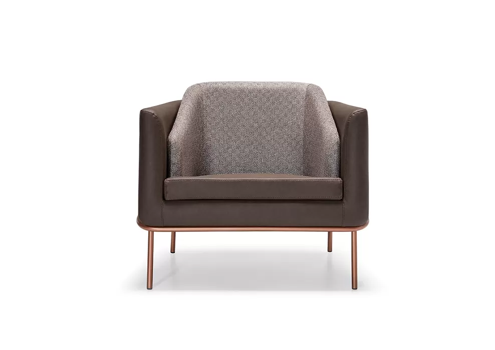 TWN TEKLİ KANEPE - Görsel 4