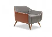 WST TEKLİ KANEPE - Görsel 2