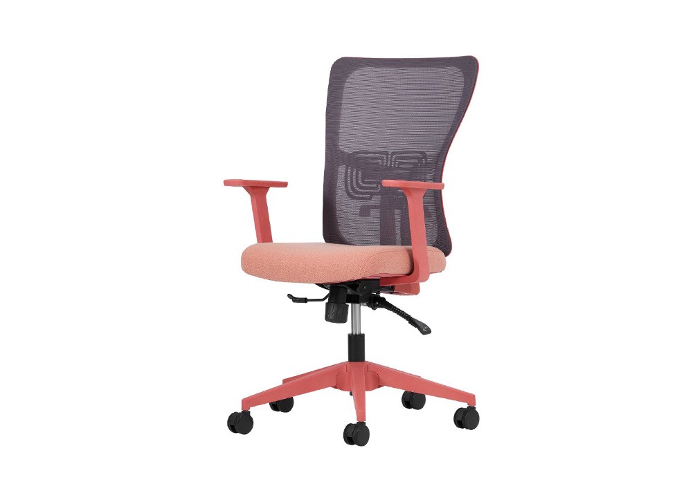 LUMBAR ÇALIŞMA KOLTUĞU