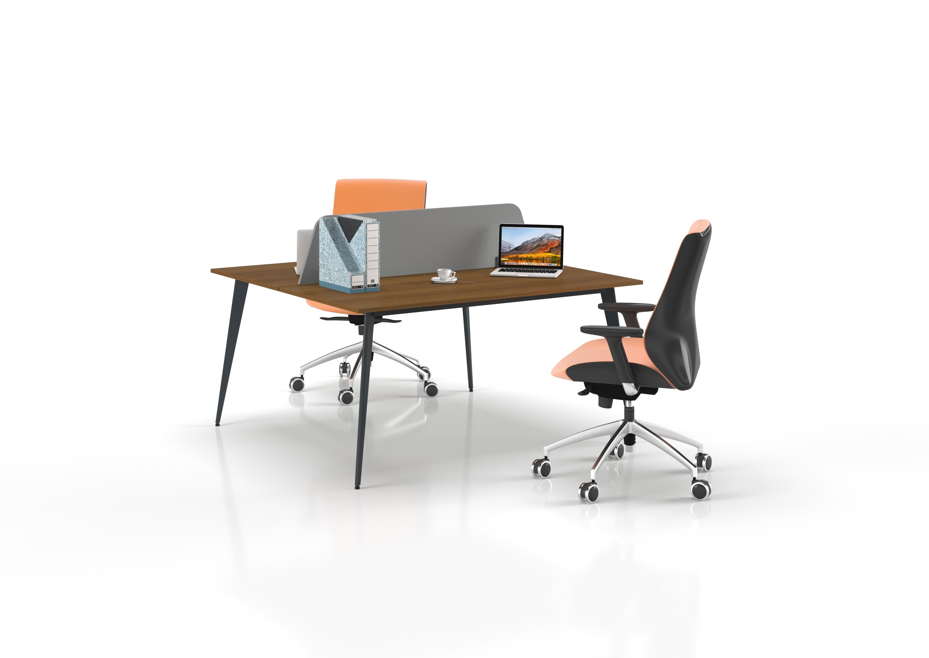 MİLAS DOUBLE STUDY DESK