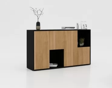 ALONSO CABINET