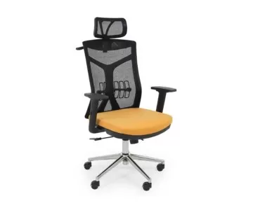 ANK MAKAM KOLTUĞU