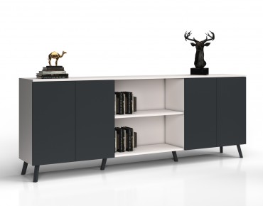 ANTONIN CABINET