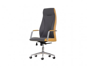 ASTRA EXECUTIVE CHAIR