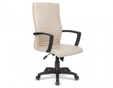 AVEK PLASTIC ARM OFFICE CHAIR