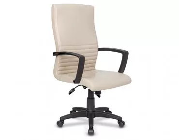 AVEK PLASTIC ARM OFFICE CHAIR