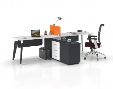 DENİS HORIZONTAL DOUBLE STUDY DESK