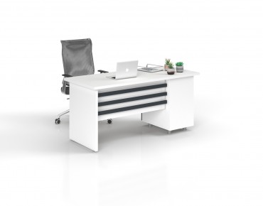 ECORAY STUDY DESK