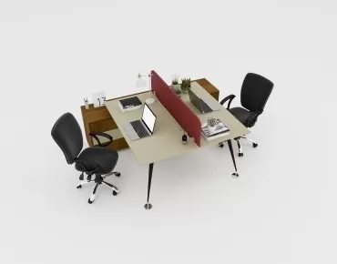LUDANO İKİLİ ÇALIŞMA MASASI